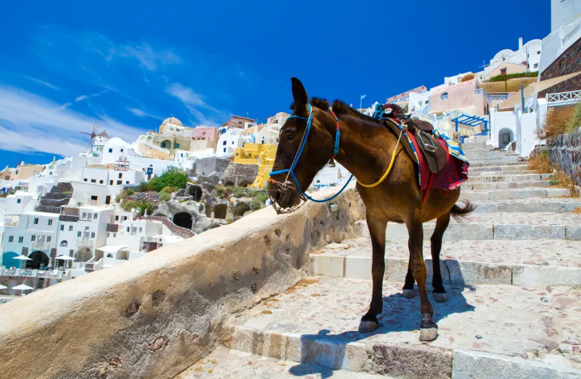 Escape Journeys: Articles from travelers, Top places to go, deals and more.