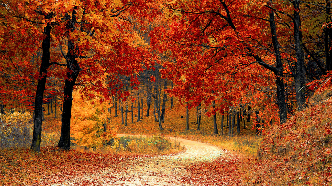 The 15 Top Places for Leaf Peeping in the U.S.
