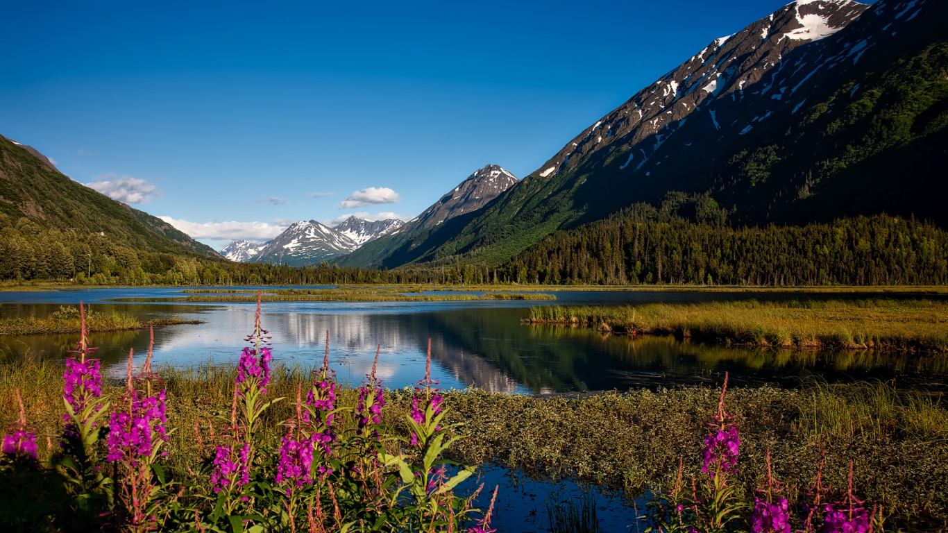 Top 10 Reasons to Visit Alaska in Summer 2026