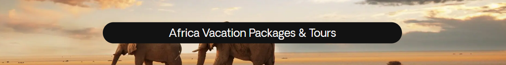 Vacations to Africa
The second-largest continent in the world, covering 6% of the total surface of the earth, Africa is a world within itself. A huge continent with varied climates, landscapes and cultures, you could visit Africa hundreds of times and never have the same experience.